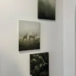 Appartamento 